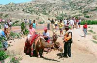 zellikle yabanc turistler deveye binip film ya da fotoraf ektirmeyi seviyorlar.